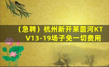 百色夜总会招聘
